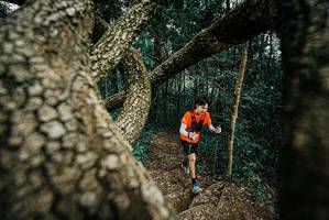 BIB: 
                            <button type="button" onclick="openModal(25704959)" class="btn btn-primary btn-sm float-right btn-popup" data-toggle="modal" data-target=".modal-high-quality">
                        <i class="fas fa-shopping-cart"></i> Add to Cart
                    </button>
                                            <button type="button" onclick="isThisMe(25704959, true)" class="btn btn-success btn-sm float-right btn-popup btn-isme hidden" data-toggle="tooltip" data-placement="bottom" title="นี่คือรูปของคุณใช่ไหม คลิกที่นี่เพื่อเอาเข้าอัลบั้ม">
                        <i class="fas fa-plus"></i> Add to album
                    </button>
                    <button type="button" onclick="isThisMe(25704959, false)" class="btn btn-warning btn-sm float-right btn-popup btn-isnotme hidden">
                        <i class="fas fa-ban"></i> Remove from album
                    </button>